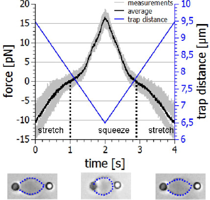 Measuring cell mechanics