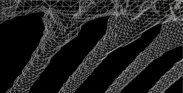 Close-up of the ribs, showing the triangular mesh