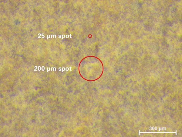Analysing inhomogenous samples with micro-XRF