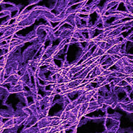 Dimension XR Nanoelectrical