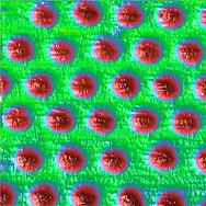 Nanoelectrochemistry