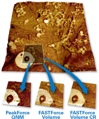 Comprehensive nanomechanical characterisation