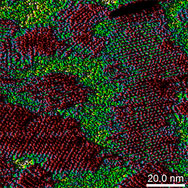 Dimension XR Nanomechanics