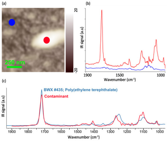 Identifying contaminants on demiconductors