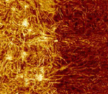 Bruker PeakForce QNM