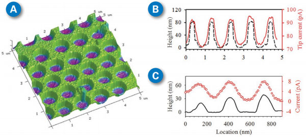 PeakForce SECM Example