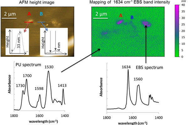Polymer additive analysis using AFM-IR