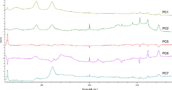 Raman Spectra of Coatings on Metal