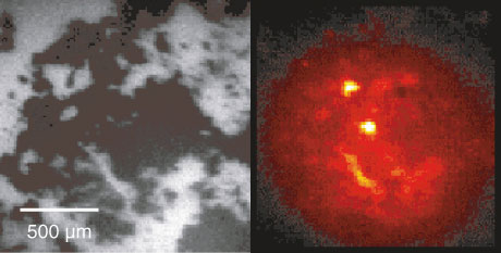 Raman image of cocaine & sugar