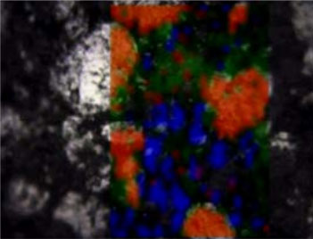 Raman map of a battery anode