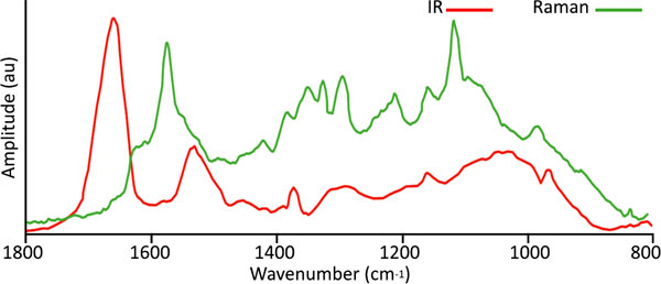 Red Blood Cells - Photothermal mIRage