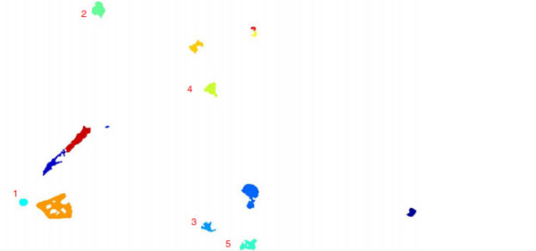 Microplastic Particle Determination