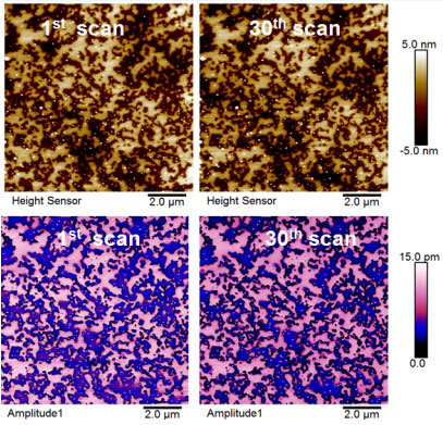Single Crystal Diamond AFM probe