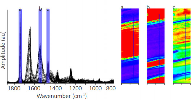 Thin Film Chemical Distribution