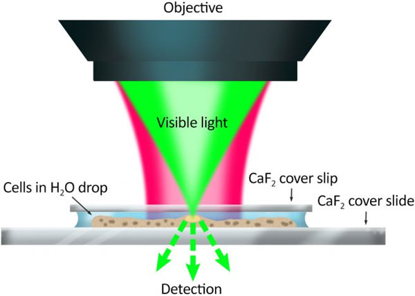 Transmission mode O-PTIR
