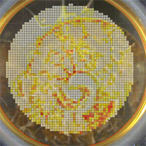 High spatial resolution WDXRF