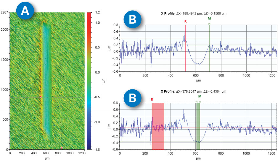 Wear track from a tribocorrosion test