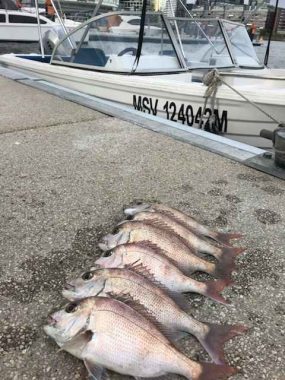 fishing boat hire melbourne