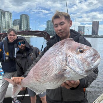 Snapper fishing boat hire Melbourne