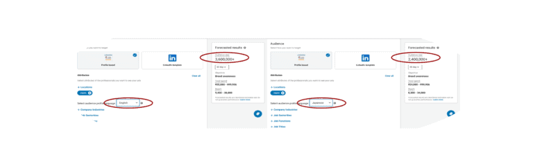 LinkedIn - Japan Audience June 2023