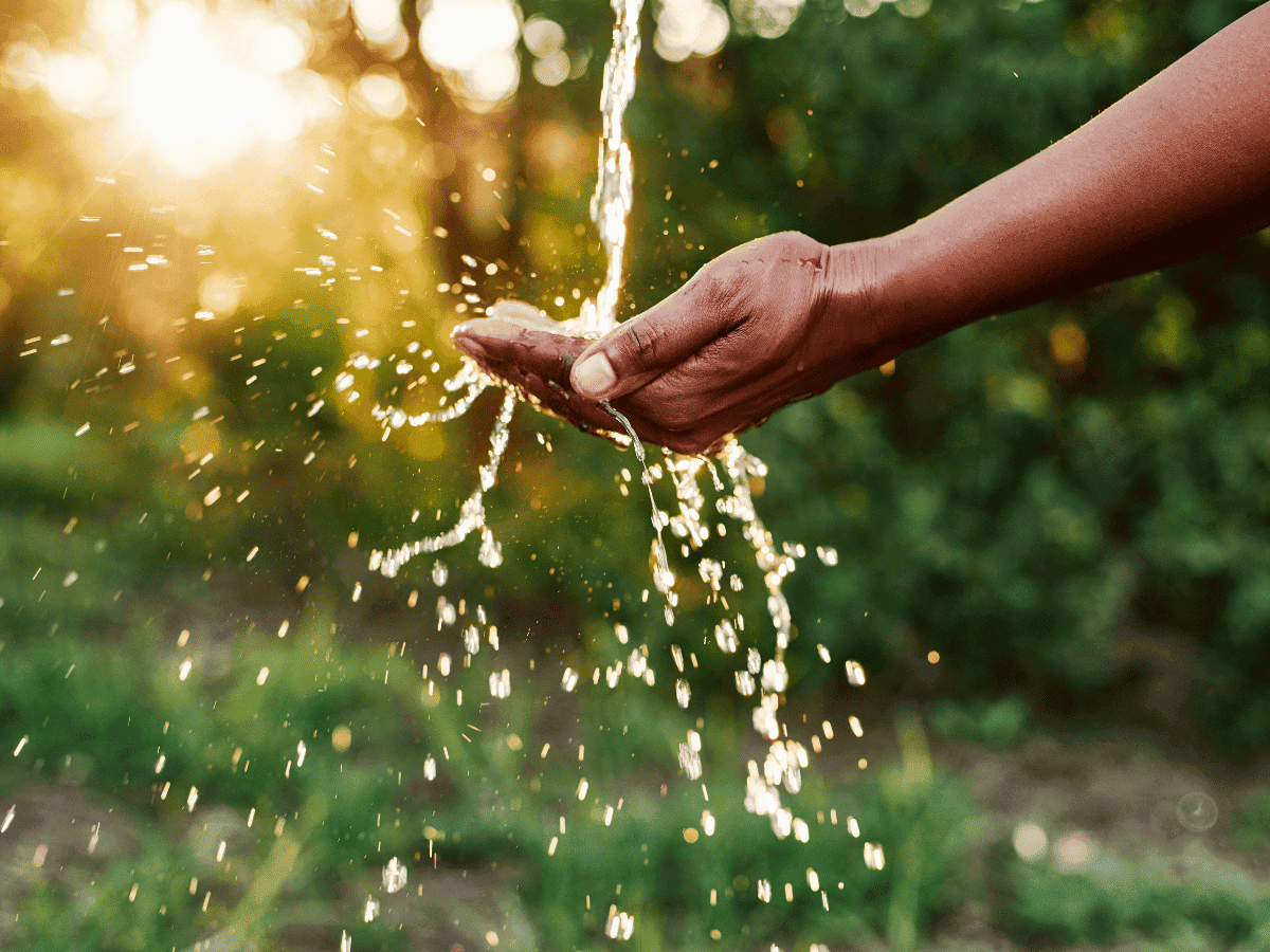 A person holds cupped hands under running water outdoors, with sunlight and greenery in the background.