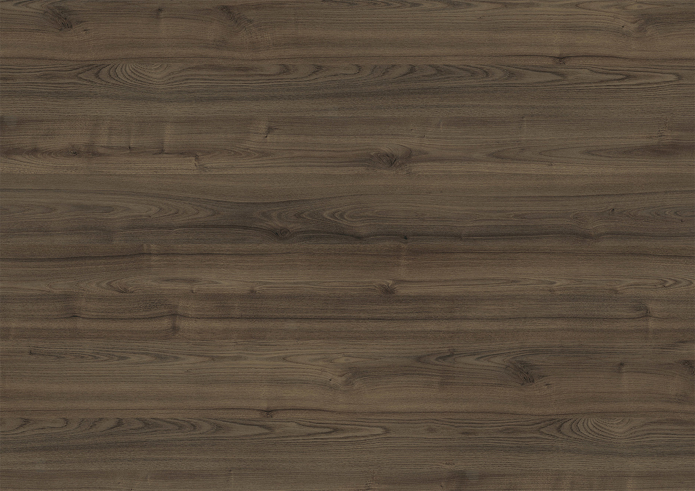 Casala staining Chestnut S38000