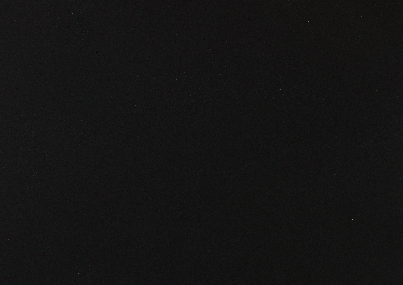 Casala staining Nero ingo S0720