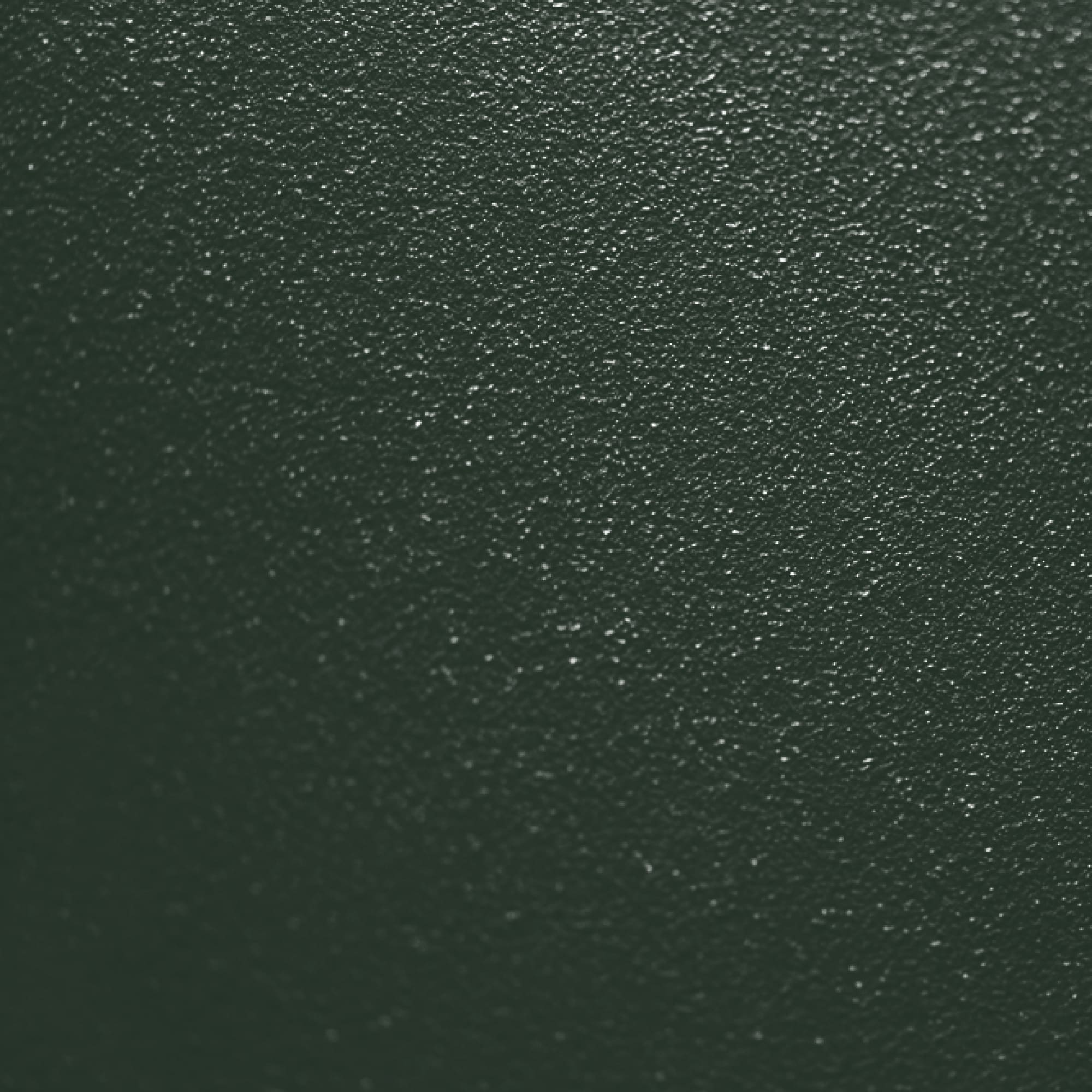 Casala powder coating Pine green FT22