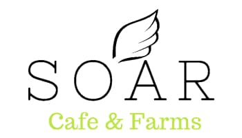 Exterior view of Cascades Manor with lush greenery and inviting entrance.