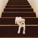 Non-Slip Washable Stair Treads Polyester Carpet Brown (Set of 15)