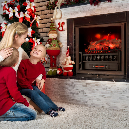 20 Inch Electric Fireplace Heater with Birchwood Ember Bed Black