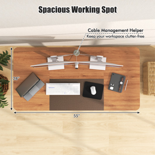 Adjustable Electric Standing Desk with Cable Management Hole 55 Inch