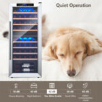 Dual Zone Wine Cooler Refrigerator with 8 Shelves (43 Bottles)