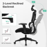 Adjustable Ergonomic Office Chair with Lumbar Support and Headrest