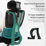 Adjustable Ergonomic Office Chair with Lumbar Support and Headrest