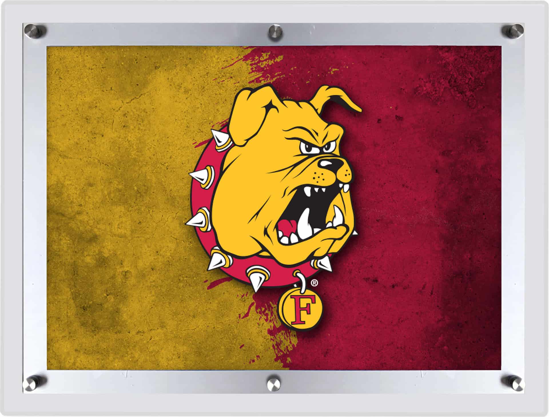 Ferris State University LG Backlit LED Sign