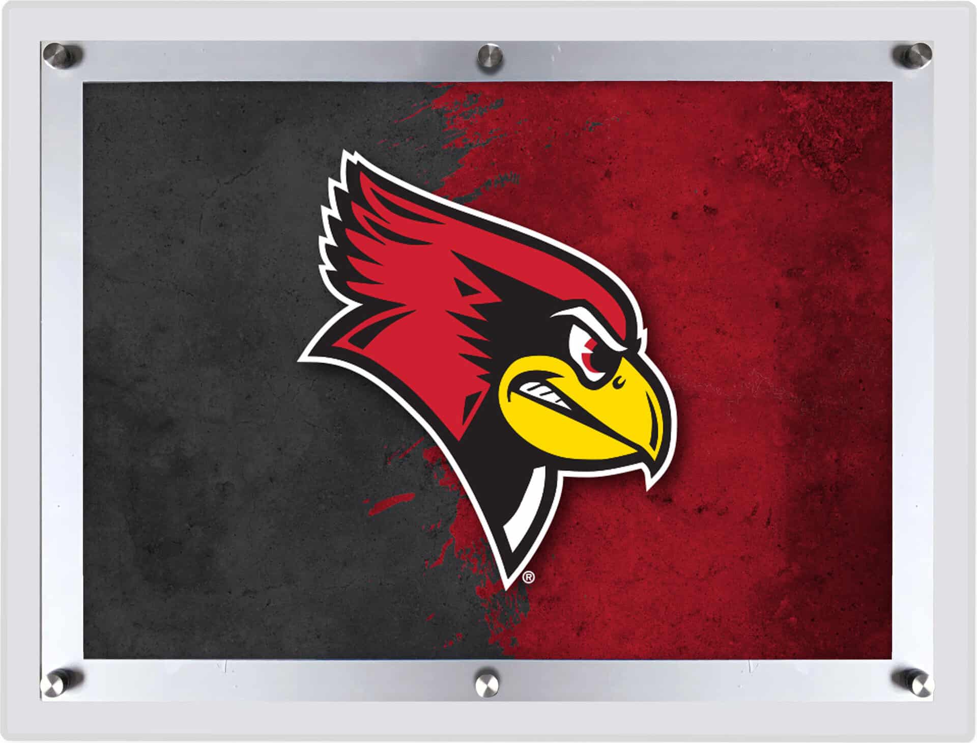 Illinois State University LG Backlit LED Sign