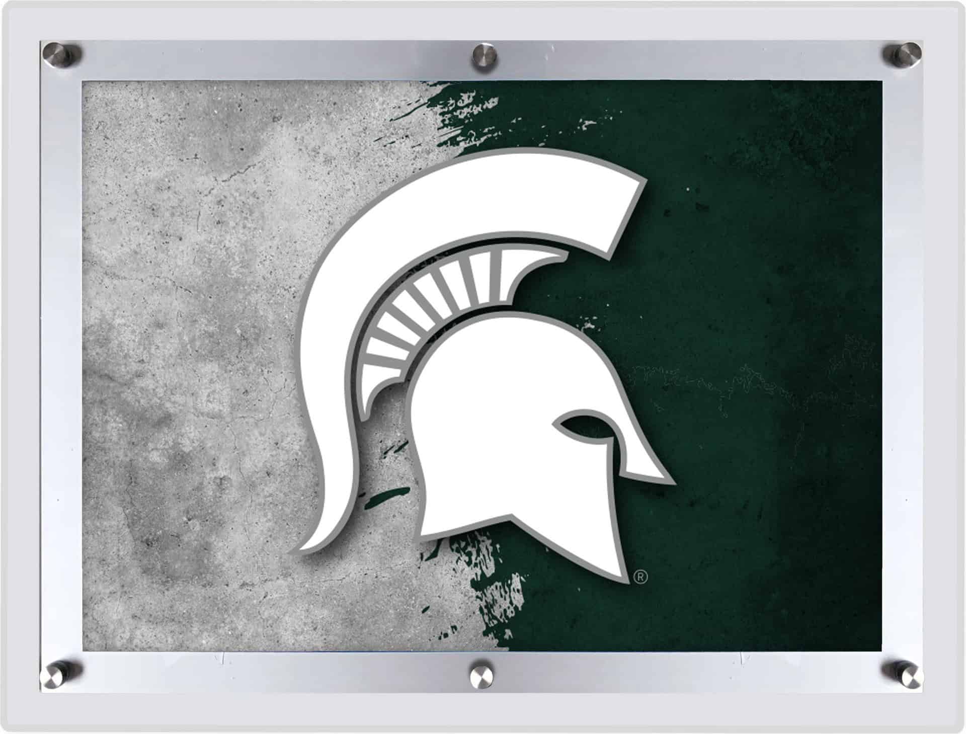 Michigan State University LG Backlit LED Sign
