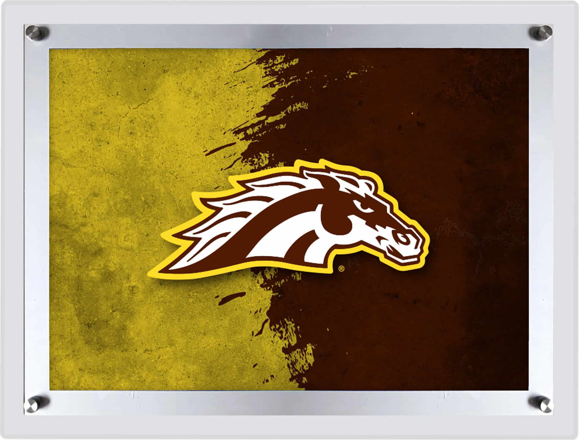 Western Michigan University A3 Backlit LED Sign