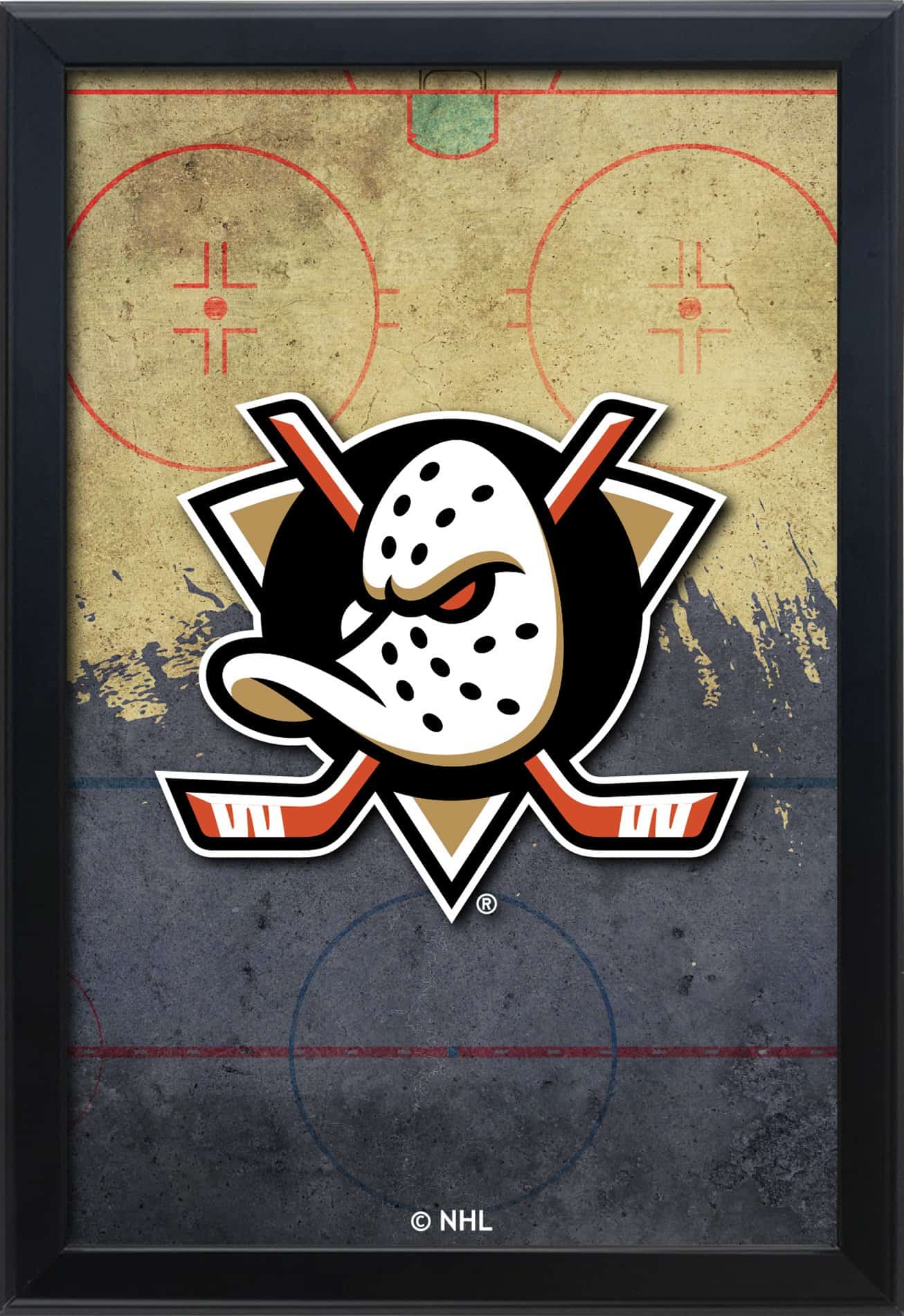Anaheim Ducks 16x24 Snapframe Lightbox