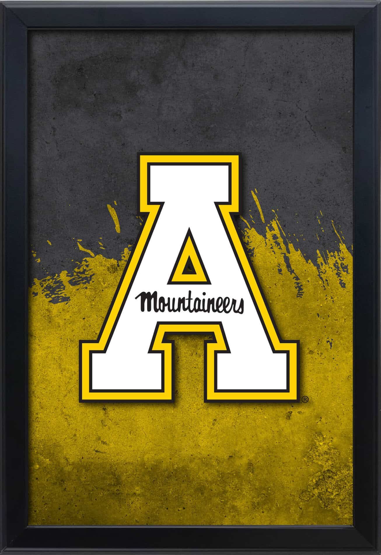 Appalachian State University 16x24 Snapframe Lightbox