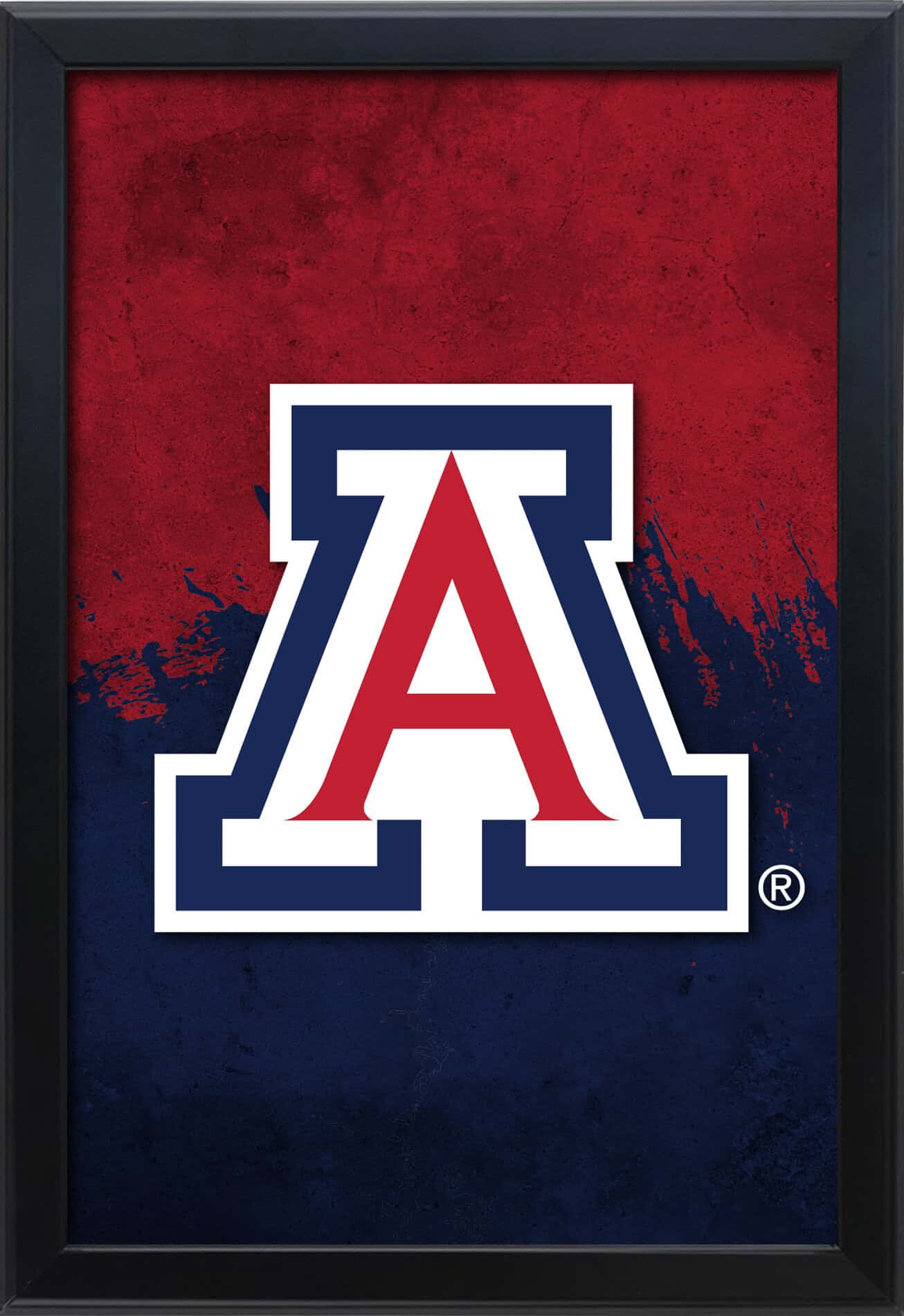 University of Arizona 16x24 Snapframe Lightbox