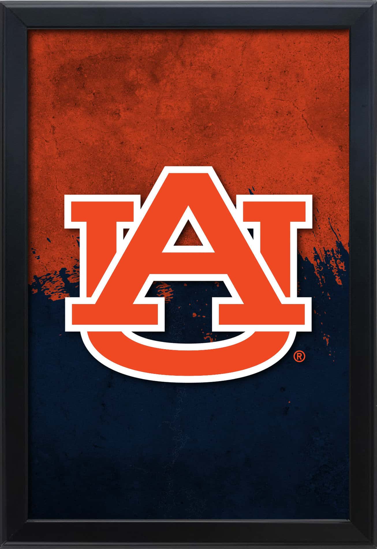 Auburn University 16x24 Snapframe Lightbox