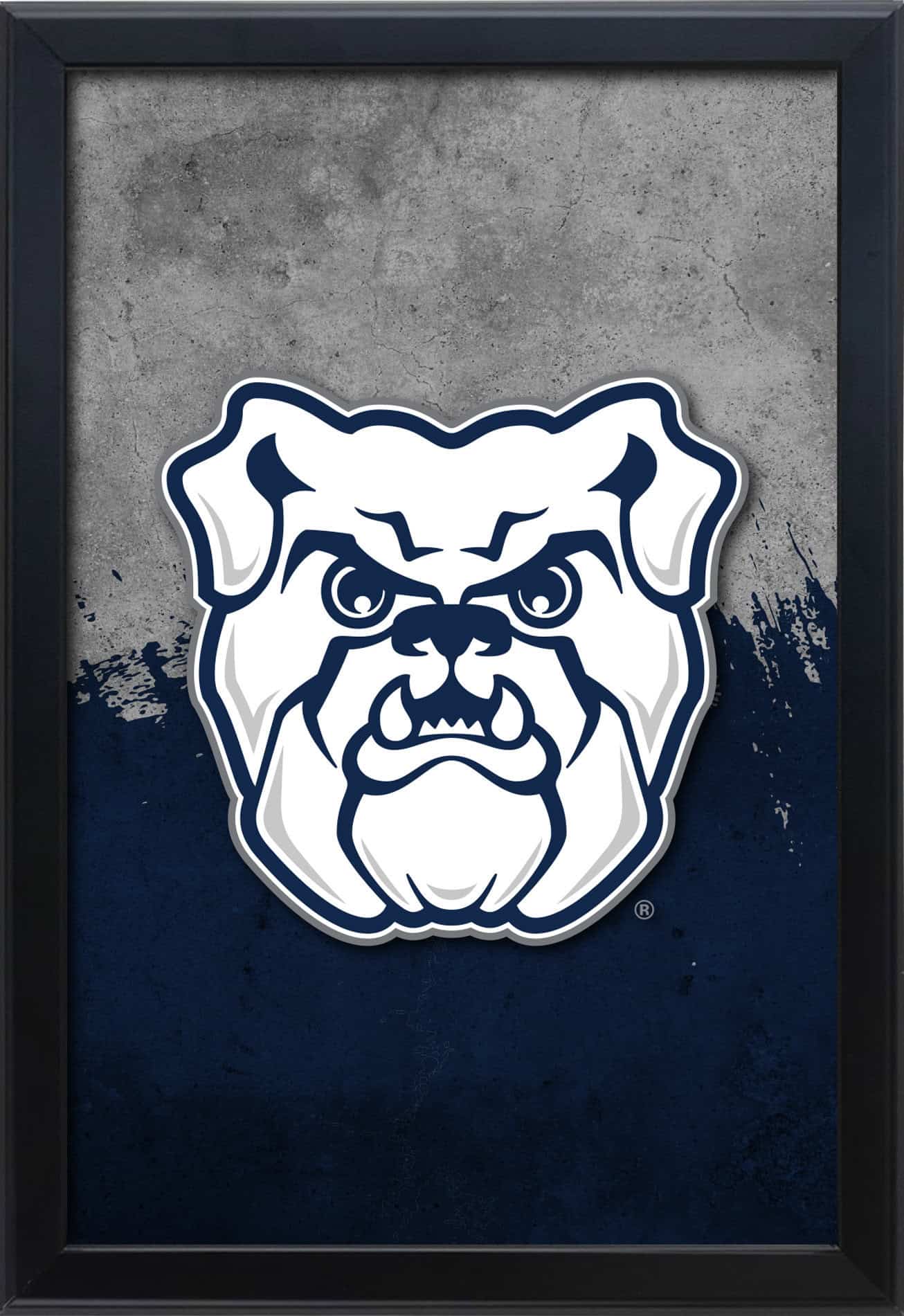 Butler University 16x24 Snapframe Lightbox