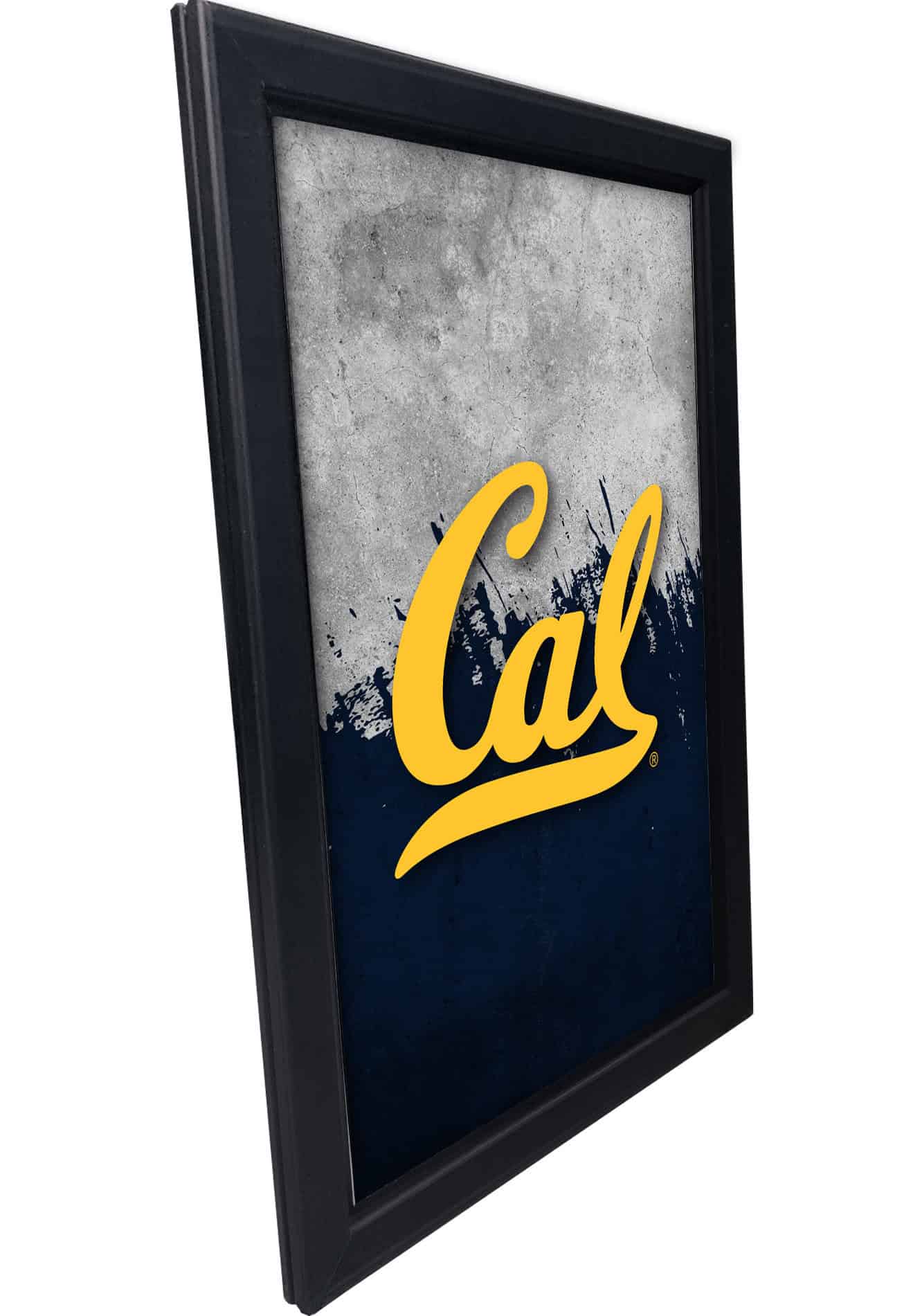 University of California 16x24 Snapframe Lightbox
