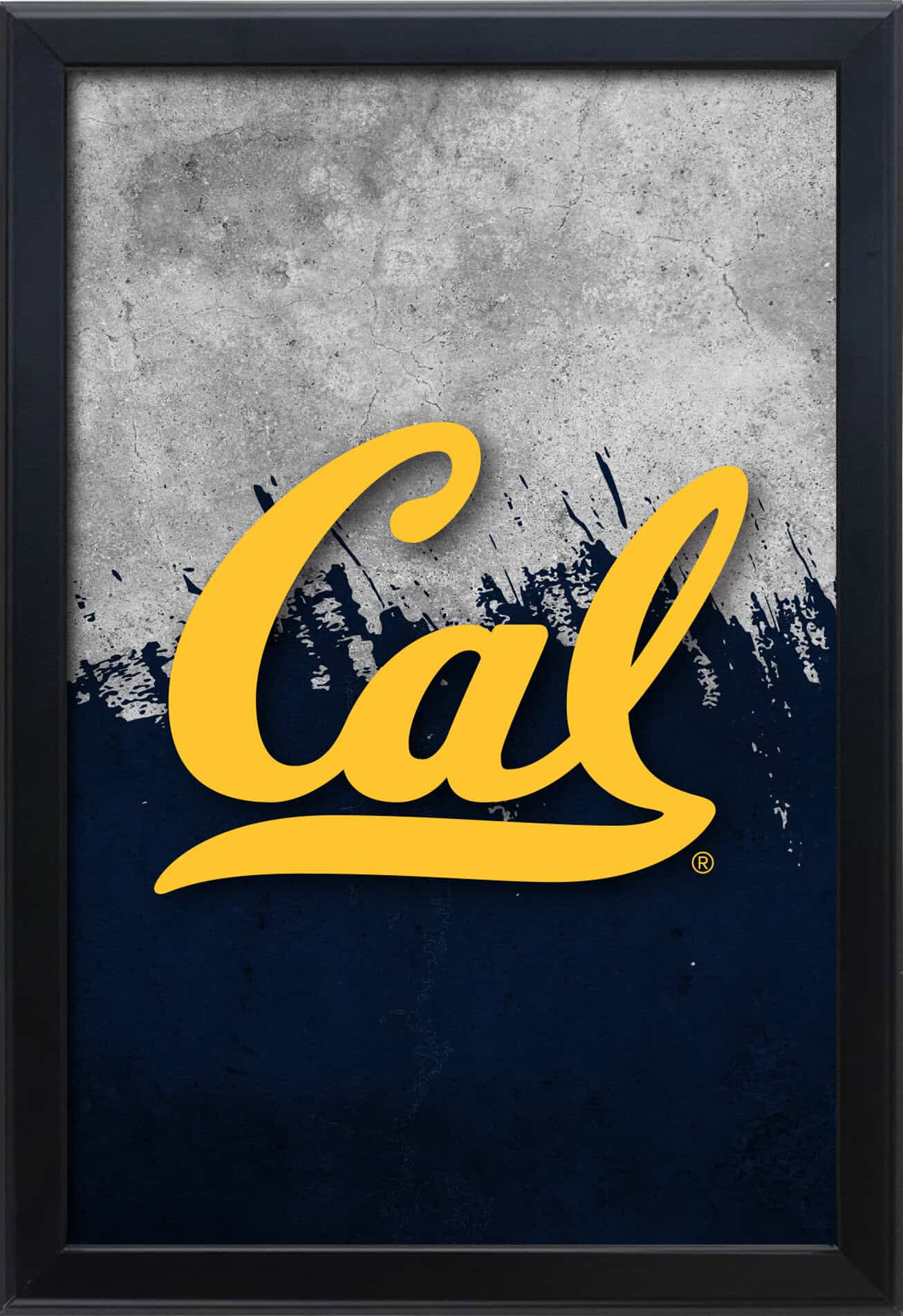 University of California 16x24 Snapframe Lightbox