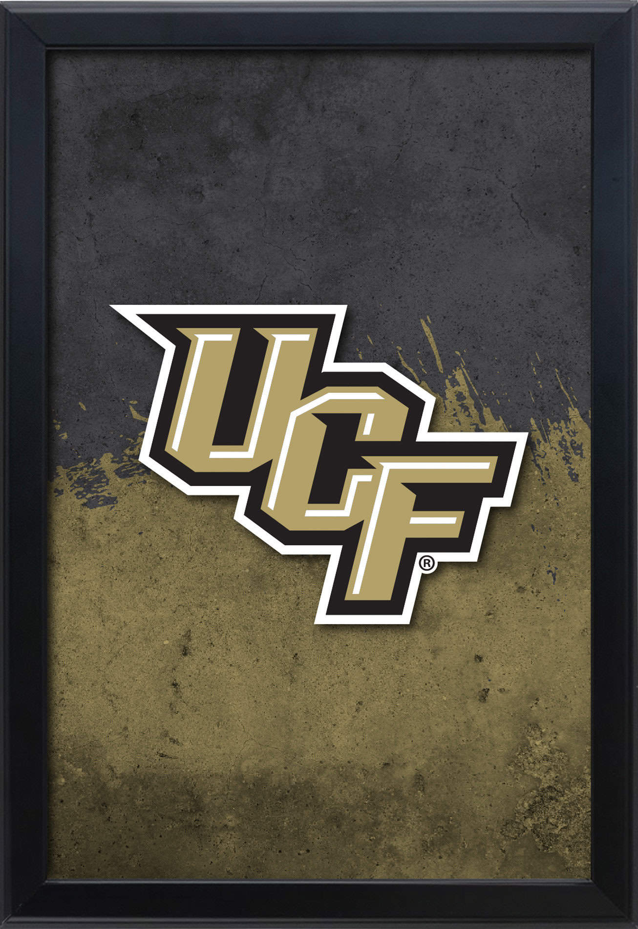 University of Central Florida 16x24 Snapframe Lightbox