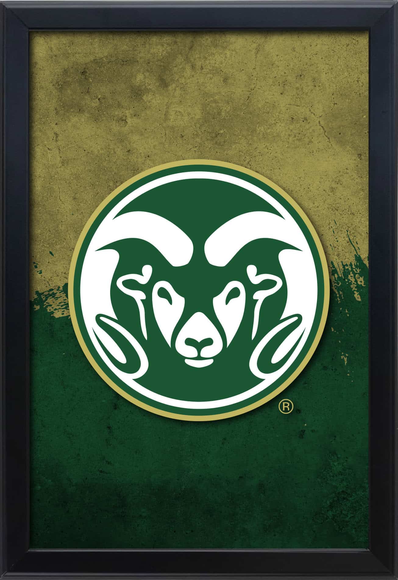 Colorado State University 16x24 Snapframe Lightbox