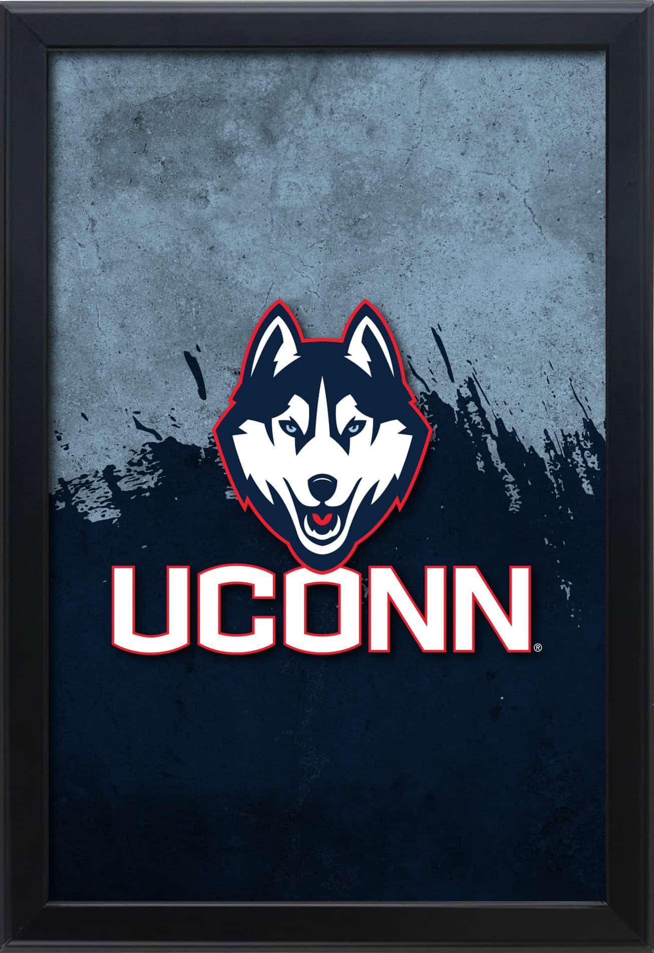 University of Connecticut 16x24 Snapframe Lightbox