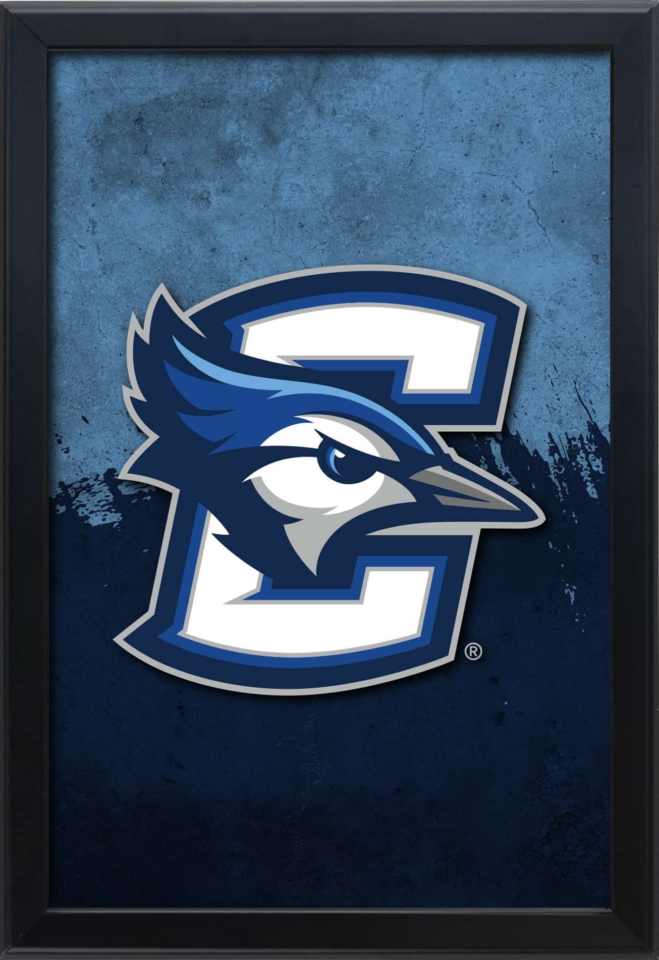 Creighton University 16x24 Snapframe Lightbox